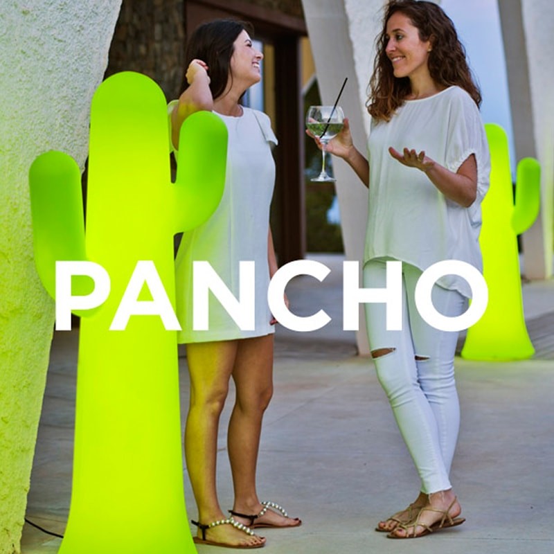 Cactus lumineux - Pancho - Newgarden Cactus lumineux - Pancho - Newgarden